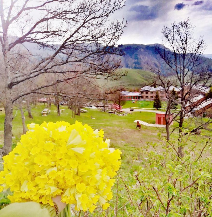 Ani Resort Artavaz Kültér fotó