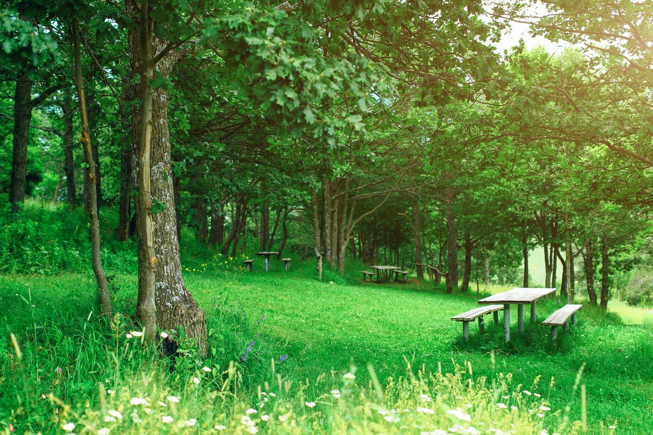 Ani Resort Artavaz Kültér fotó